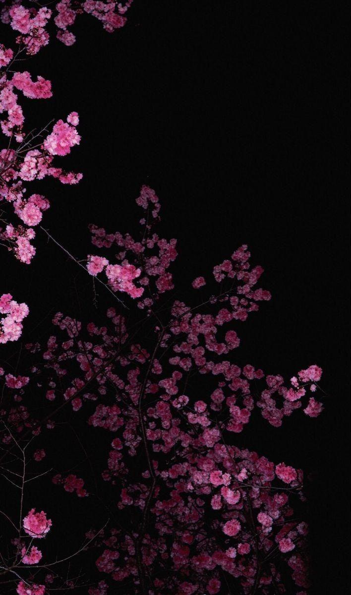 Celestial Harmony Floral Overture